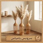 سرویس پامپاس