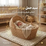 سبد حمل نوزاد